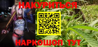 мдпв Дубна