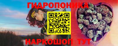ПСИЛОЦИБИНОВЫЕ ГРИБЫ Донской