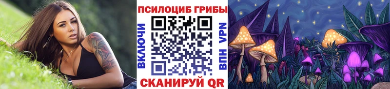 OMG зеркало  даркнет сайт  Лиски  Псилоцибиновые грибы Psilocybe 
