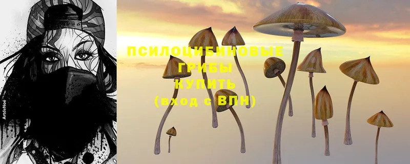 Псилоцибиновые грибы Psilocybine cubensis  где найти наркотики  Лиски 